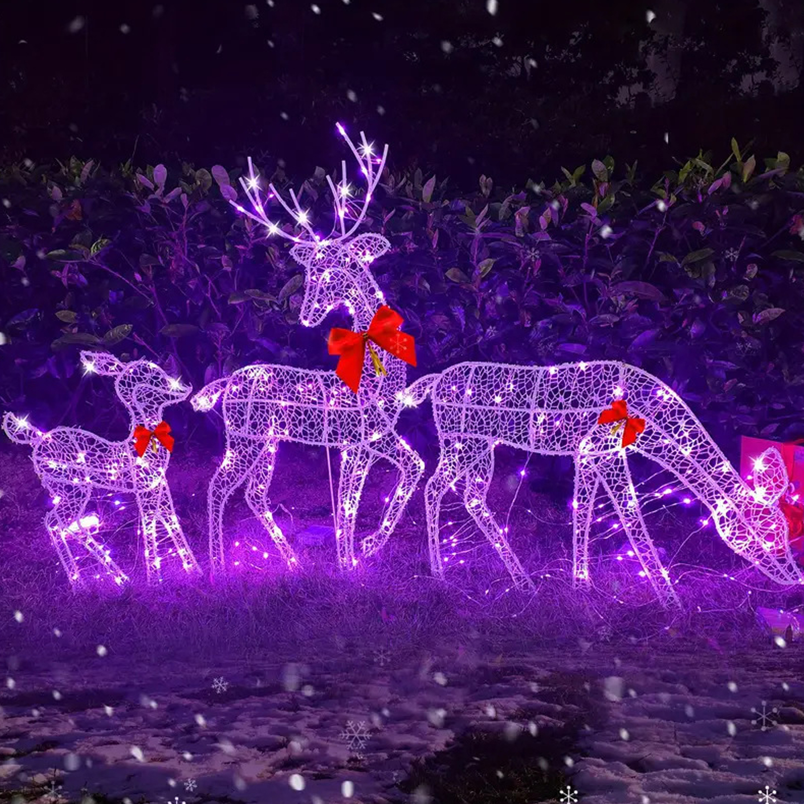 2D Lighted Reindeer Christmas  - Christmas Lights Outdoor review and price